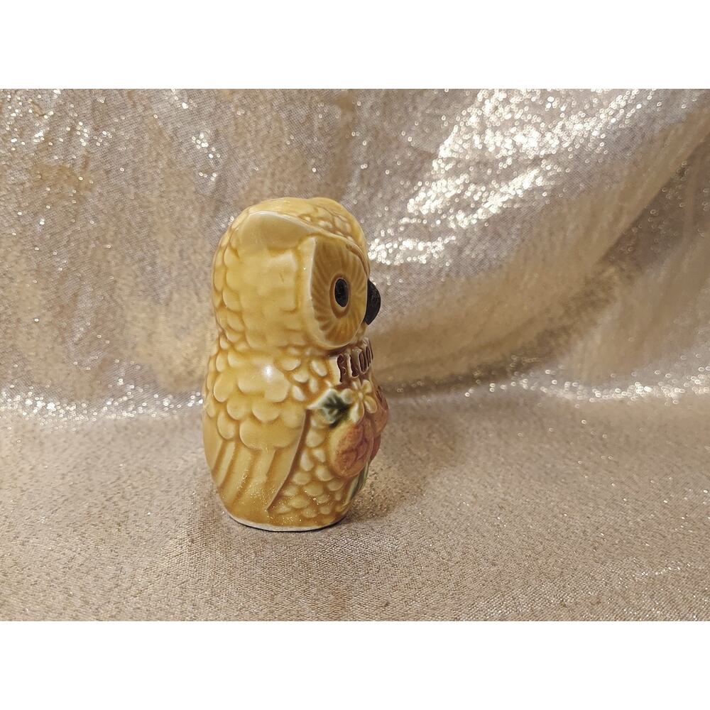 (1) Vintage Salt Shaker Florida Souvenir Ceramic Owl Replacement Piece - Picture 4 of 7